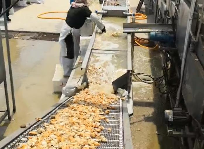 貝類(lèi)脫殼機(jī).jpg